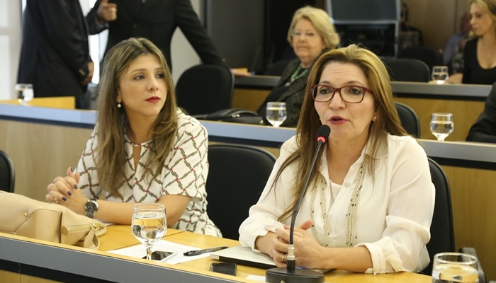 Comissão Nacional da Mulher Advogada é contra alterações na Lei Maria da Penha